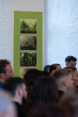 SAF Kirchheim - Vereidigung der neuen Kurse 2025 im Bild