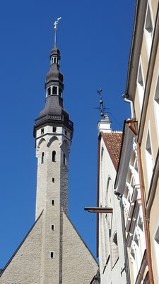 Ansichten aus der Altstadt Tallinns. Foto: Ulrichs