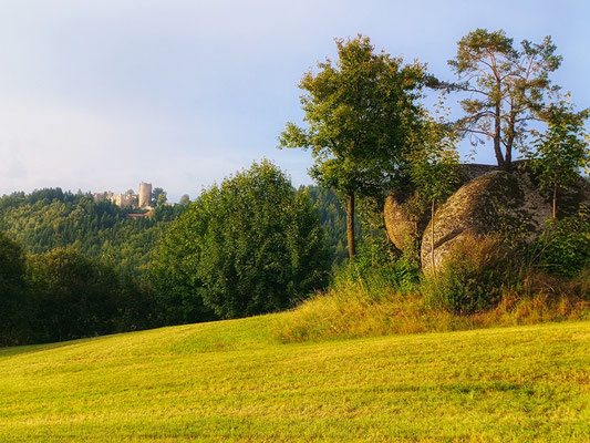 Blick zur Ruine Prandegg