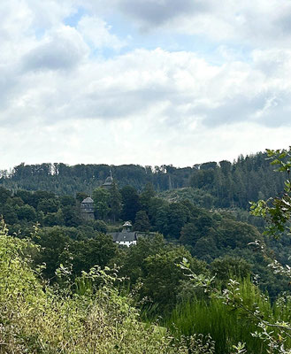 Mit Blick auf die Wildenburg in der Ferne