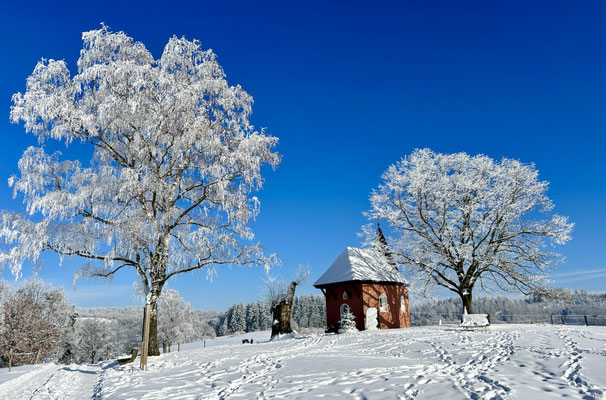 ...und im Schnee