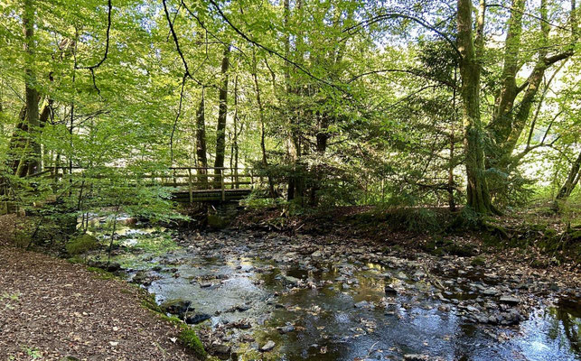 Weiter geht's am Bachlauf