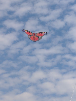 Schmetterling von Sven aus einem Workshop von Carsten Domann