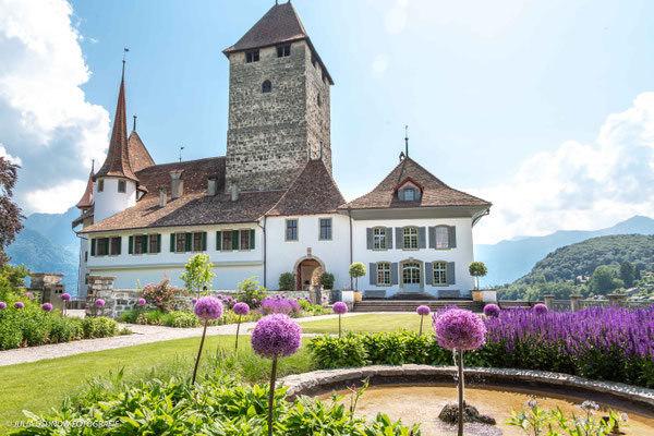 Schloss Spiez, Hochzeitsfotograf Julia Usunow