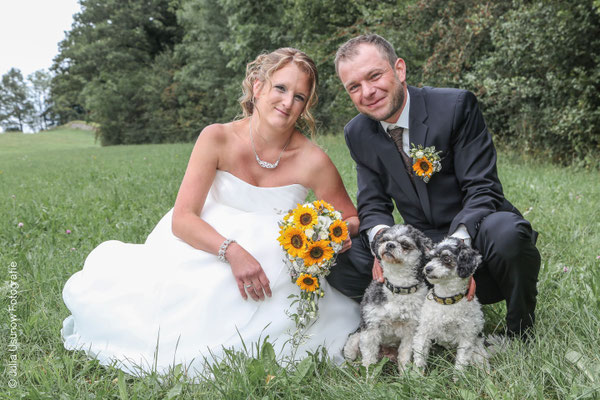 Hochzeit mit Hunden