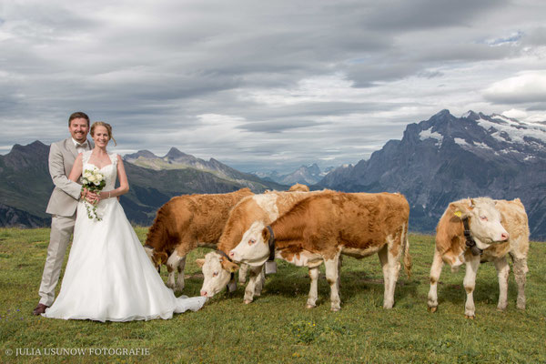 paarshooting mit kälbern auf dem männlichen, Grindelwald 2019