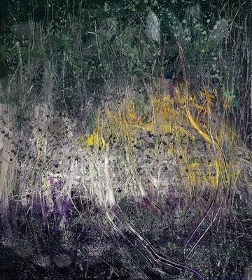 nothospecies 2 125 x 120 cm, oil on aluminium