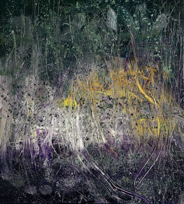 nothospecies 2 125 x 120 cm, oil on aluminium