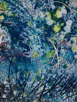 spores diary 2 40 x 30 cm, oil on canvas