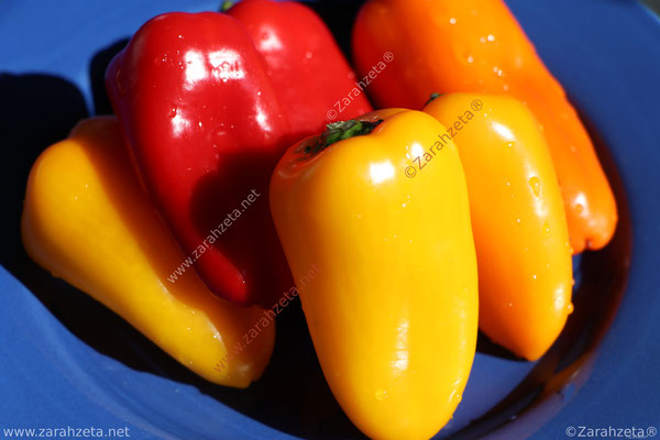 Frische Paprika in Gelb und Rot
