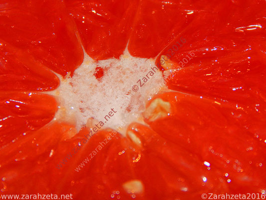 Grapefruit in makro