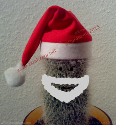 Kaktus als Weihnachtsmann
