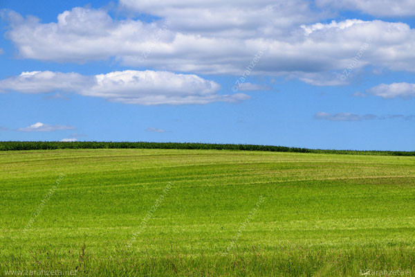 Flaches Land in Schleswig-Holstein mit grüner Wiese und blauem Himmel