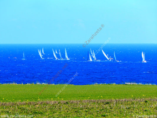 Segelregatta auf der Ostsee im Frühling
