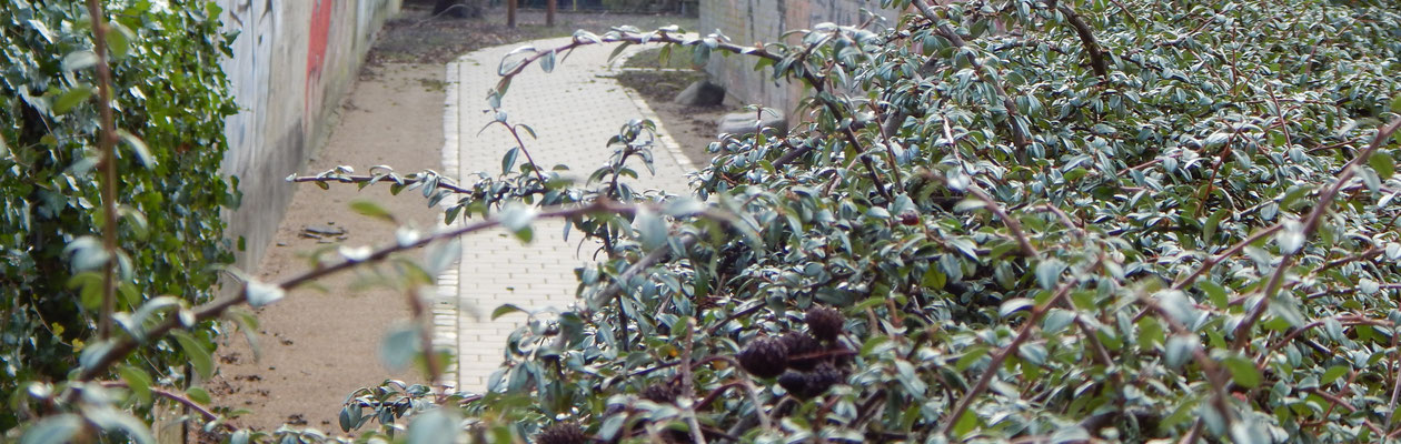 Versteckter Gang zum Kinderspielplatz