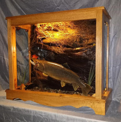 06.07.21 Brown Trout (2)