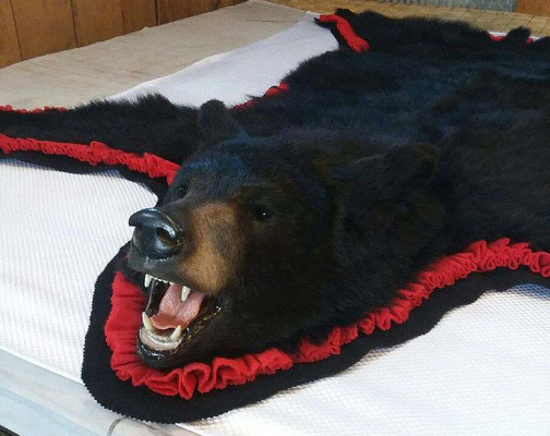 11.14.18 Black Bear Rug (3)