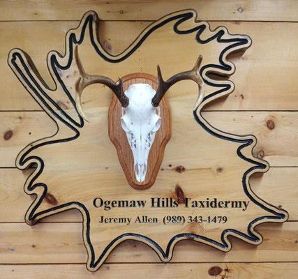 06.10.21 Euro mount 8Pt (1)