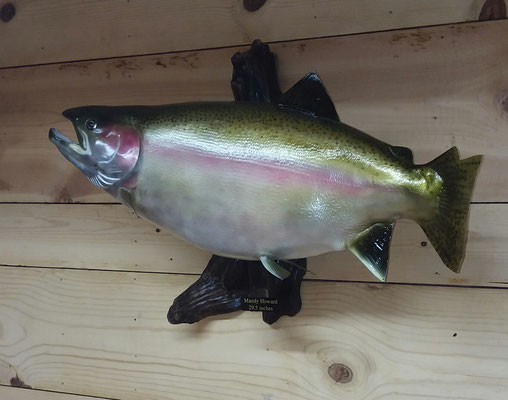 12.23.19 Steelhead (1)