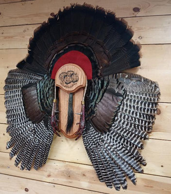 05.16.21 Turkey fan and wing mount (2)