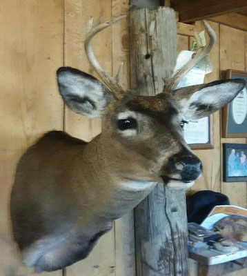 2.27.18 8 Point Buck