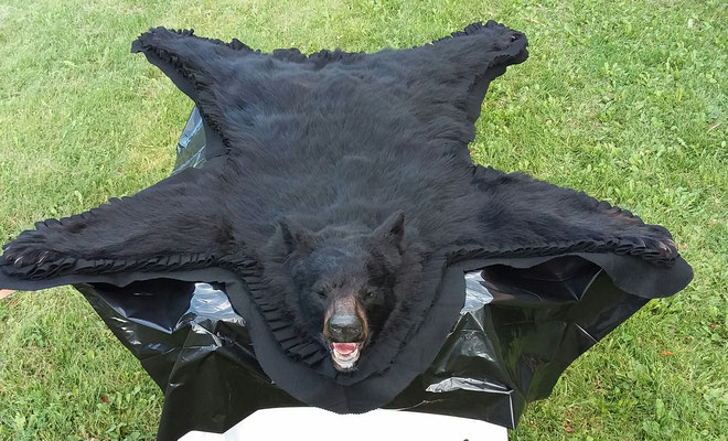 09.13.19 Black Bear Rug (4)
