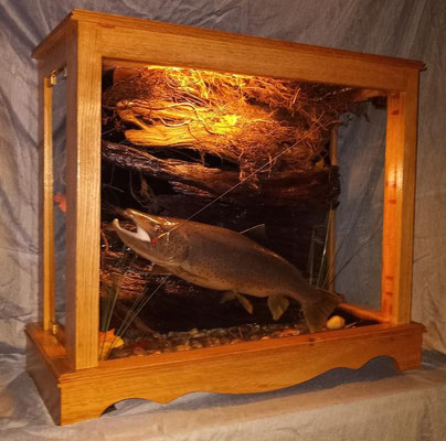 06.07.21 Brown Trout (1)