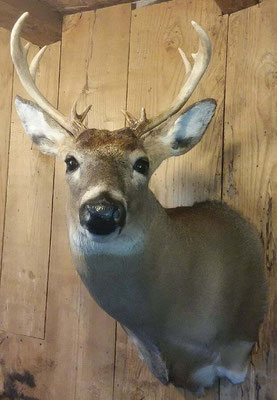 09.30.18 9 Pt Buck #1 (3)