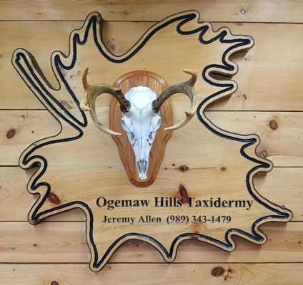 06.10.21 Euro mount 7Pt (2)