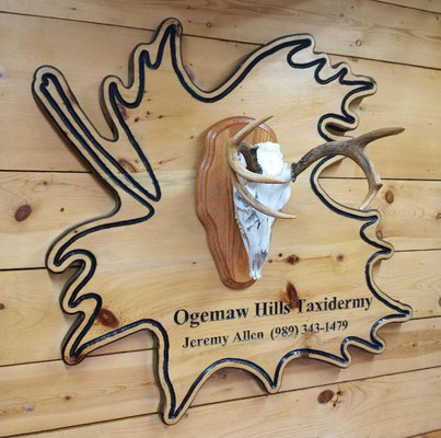 06.10.21 Euro mount 7Pt (1)