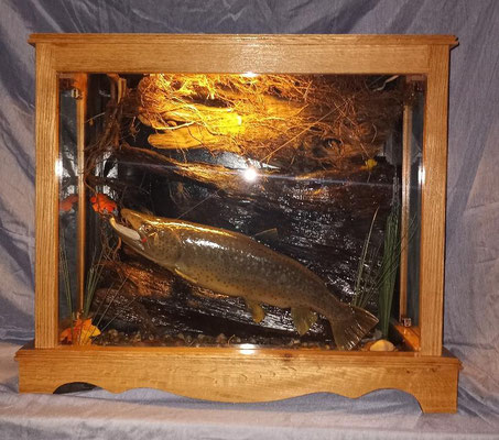 06.07.21 Brown Trout (3)
