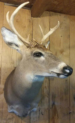 09.30.18 9 Pt Buck #1 (2)