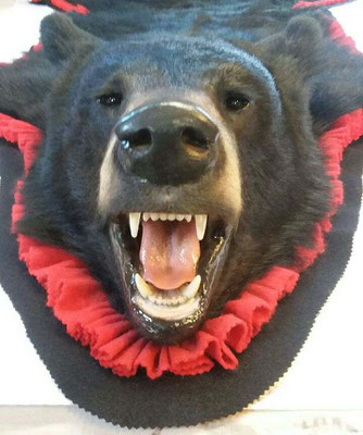11.14.18 Black Bear Rug (1)