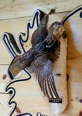 07.26.20 Ruffed Grouse (3)