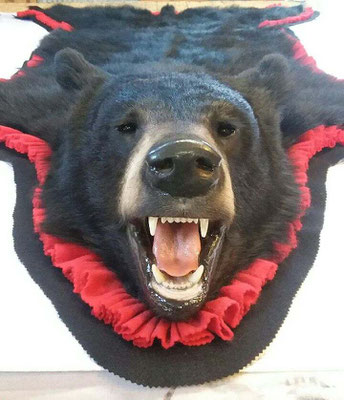 11.14.18 Black Bear Rug (2)