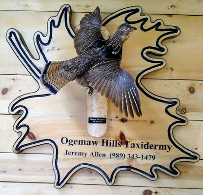 07.26.20 Ruffed Grouse (1)