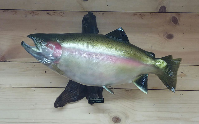 12.23.19 Steelhead (2)