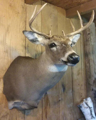 09.30.18 9 Pt Buck #2 (3)