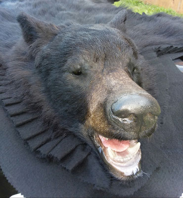 09.13.19 Black Bear Rug (1)