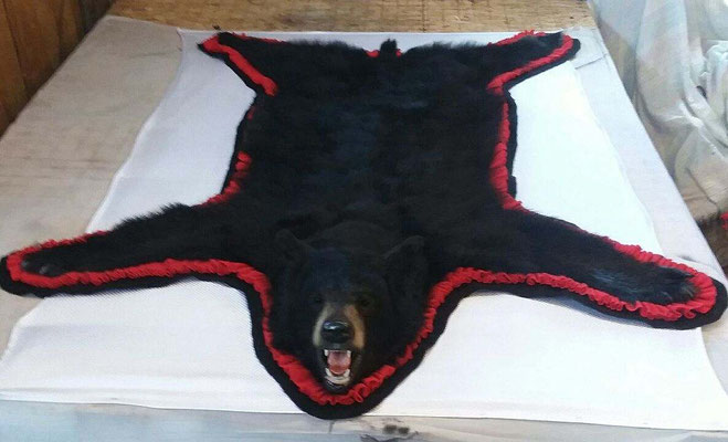 11.14.18 Black Bear Rug (5)