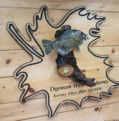 06.07.21 Crappie (2)