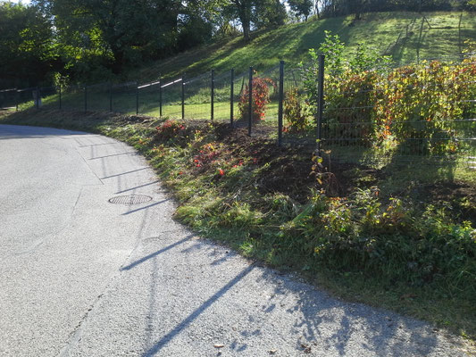 panneau rigide Betafence - Argonay