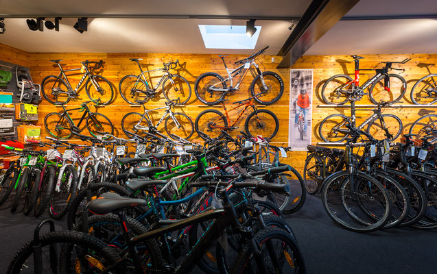 DAS FACHGESCHÄFT FÜR RADSPORT IN EISENSTADT 1551948640s DAS FACHGESCHÄFT FÜR RADSPORT IN EISENSTADT 1551948640s