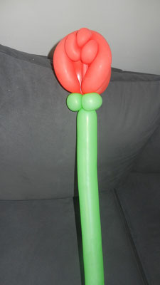 Tulipan z balonów - 5 zł