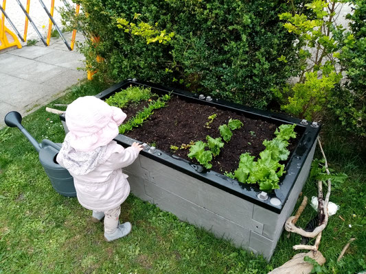 Unser kleines Hochbeet 