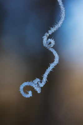 Eiskunst, momente-der-schoepfung.ch