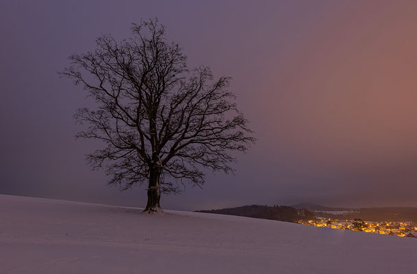 Linde, momente-der-schoepfung.ch