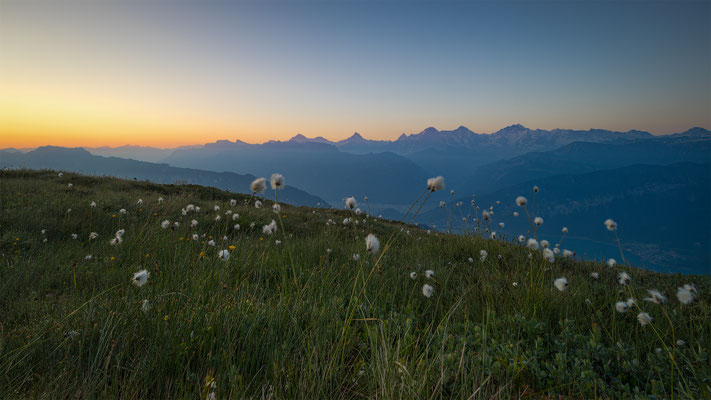 Sicht vom Niederhorn, momente-der-schoepfung.ch