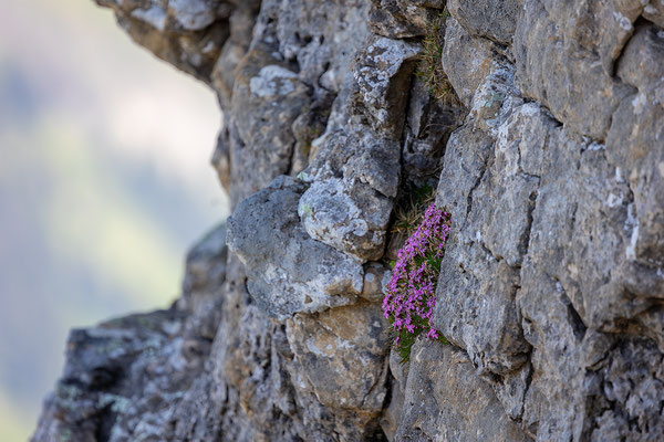 momente-der-schoepfung.ch