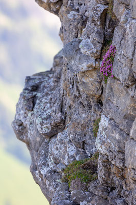 momente-der-schoepfung.ch